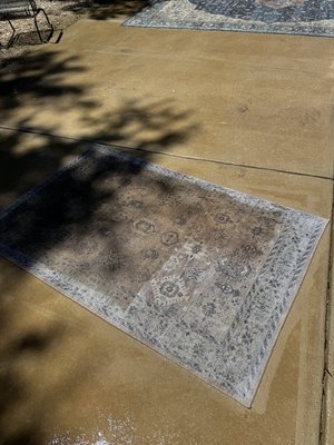 IMG_7801.jpeg
