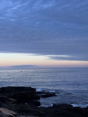 IMG_8099.jpeg