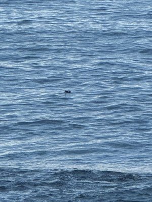 IMG_8102.jpeg