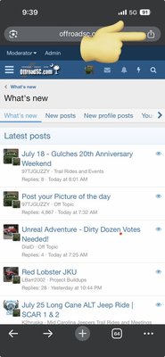 IMG_8254.jpeg